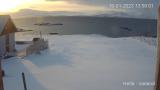 19.01